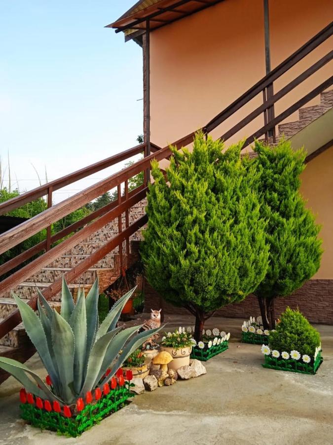 Изабелла Pitsunda Exterior foto